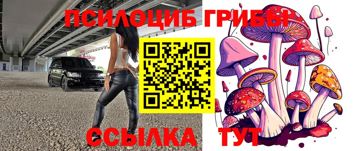 Галлюциногенные грибы Psilocybine cubensis Нижний Тагил