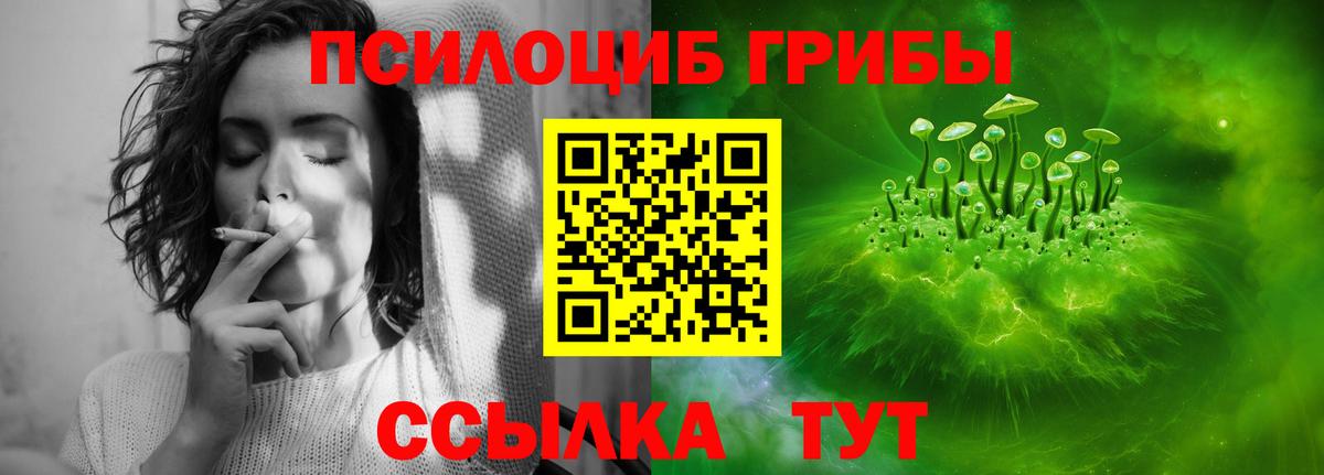 продажа наркотиков  Псилоцибиновые грибы MAGIC MUSHROOMS  Вход с VPN  Нижний Тагил 